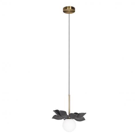 Подвесной светильник Loft IT Monro 10213/B Black