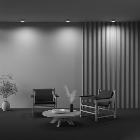 Потолочный светильник Maytoni Technical Ceiling 4000K Zon C032CL-12W4K-RD-MG