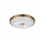 Настенно-потолочный светильник Odeon Light Pelow 4956/4