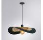 Светильник подвесной Arte Lamp Woodstock  A7059SP-1BK
