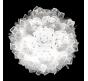 Потолочный светильник Loft IT Clizia 10231/780C White