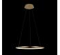 Подвесной светильник Loft IT Ring 10014M